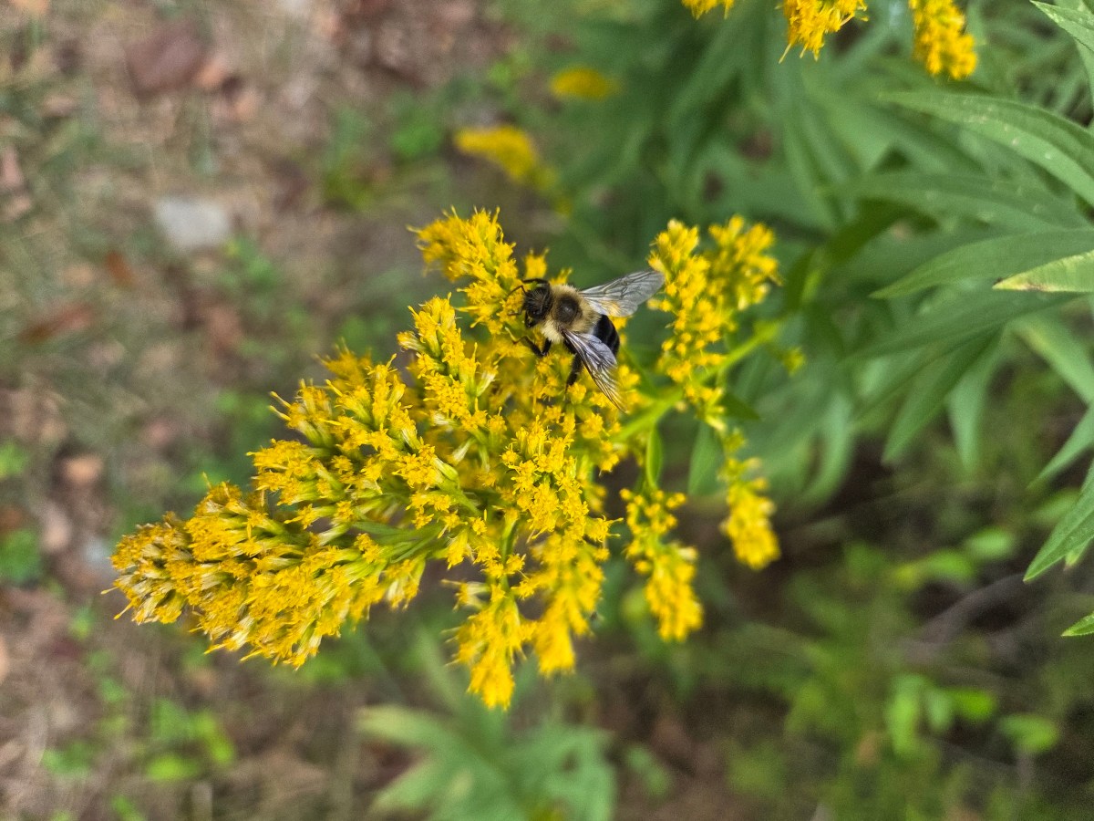 Practicing Release – Psalm&nbsp;88